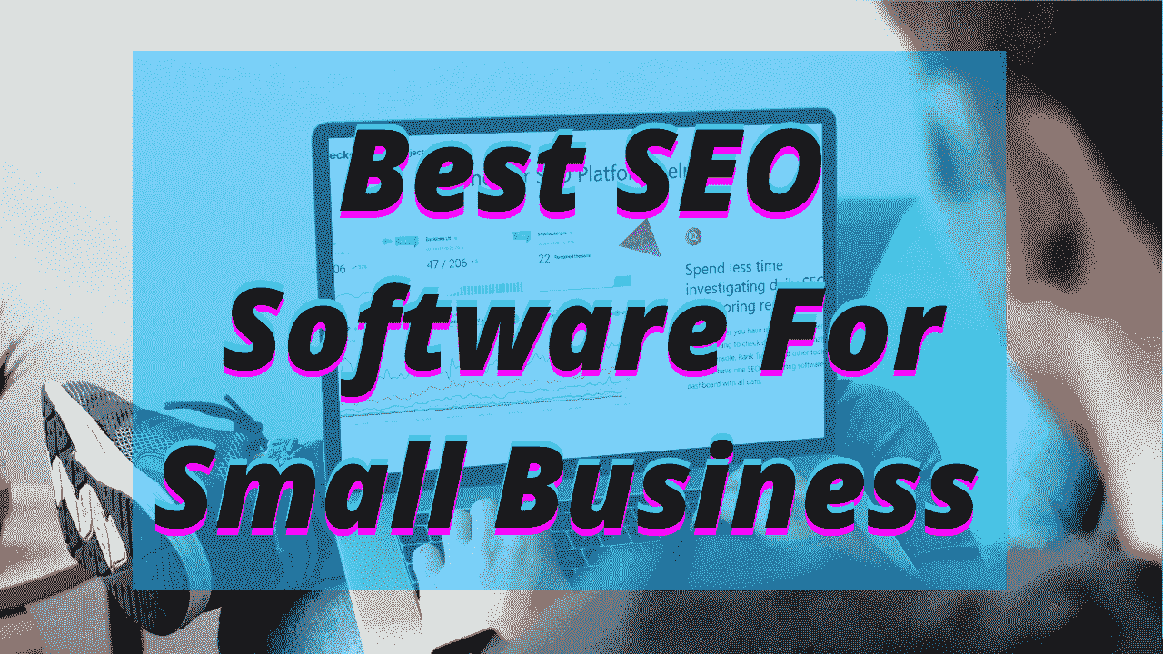 best seo software for small business